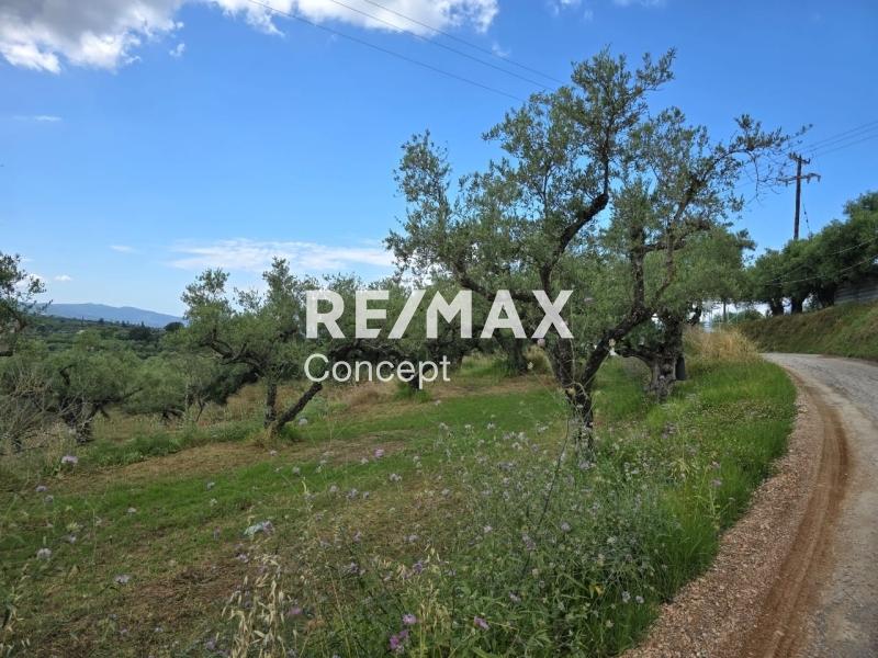 Terreno di 4 500 m²