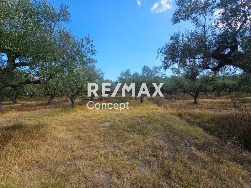 2 - venta terreno zante islas jónicas grecia