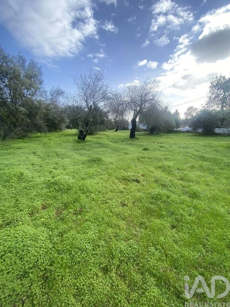 2 - vendita terreno são brás de alportel algarve portogallo
