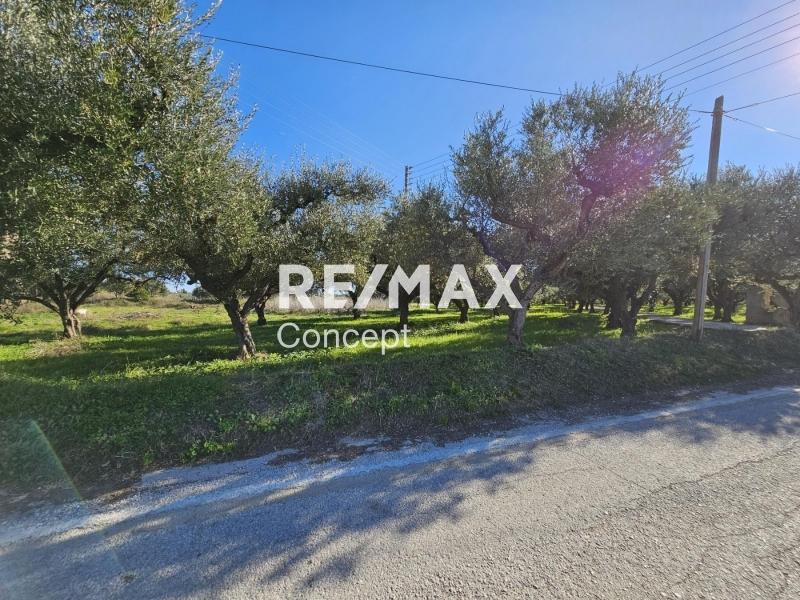 Terreno di 1 200 m²