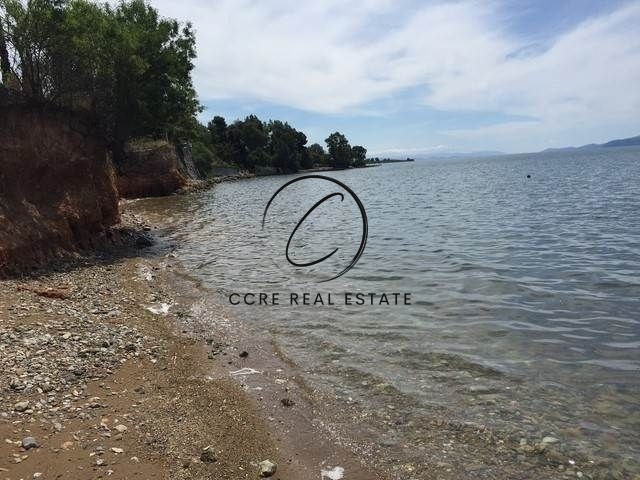 1 - vente terrain vue mer malakónta grèce centrale grèce