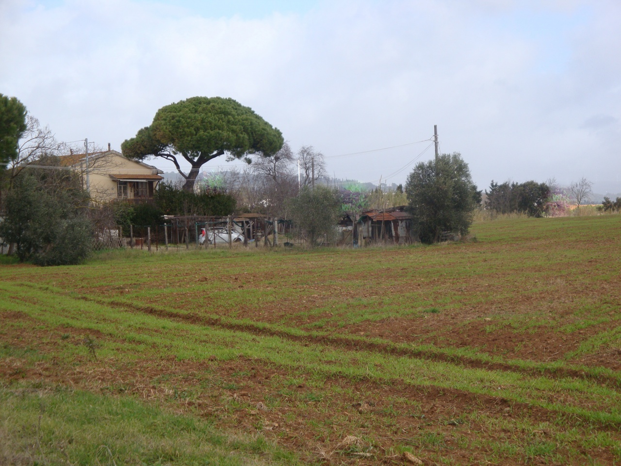 1 - house for sale in rosignano marittimo tuscany italy