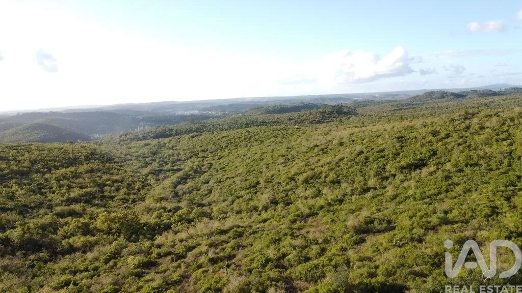 2 - plot of land for sale in ourém centro region portugal