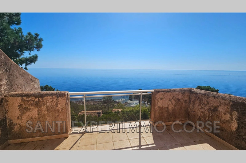 1 - vente appartement vue mer conca corse (du-sud) france