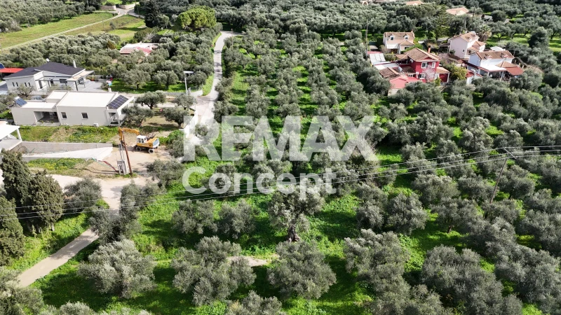 2 - vente terrain zante îles ioniennes grèce