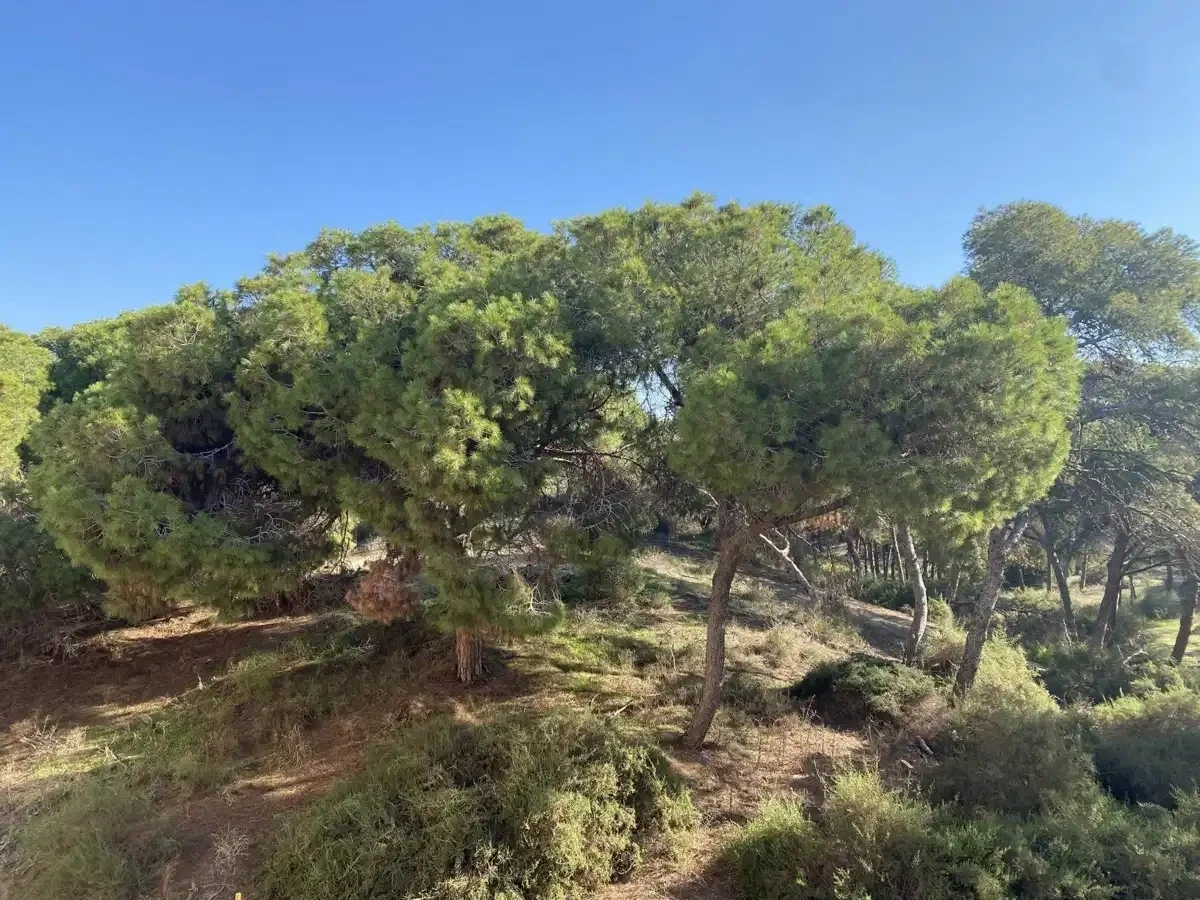2 - vendita appartamento vista mare guardamar del segura comunità valenciana spagna