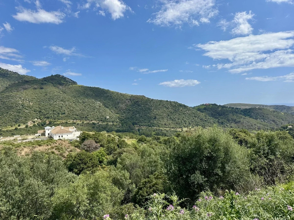 2 - vente terrain vue mer benahavis - costa del sol andalousie espagne