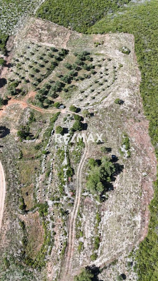 2 - venta terreno vista al mar zante islas jónicas grecia