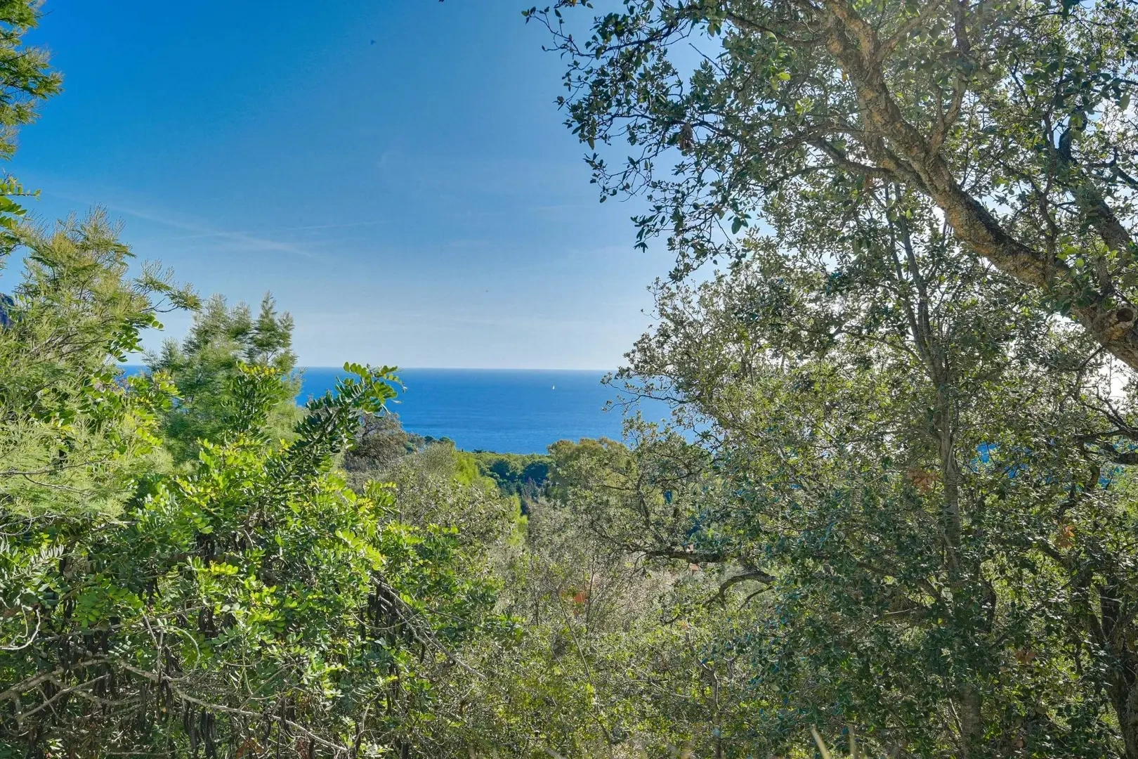 2 - verkoop terrein uitzicht op zee begur catalonia spanje