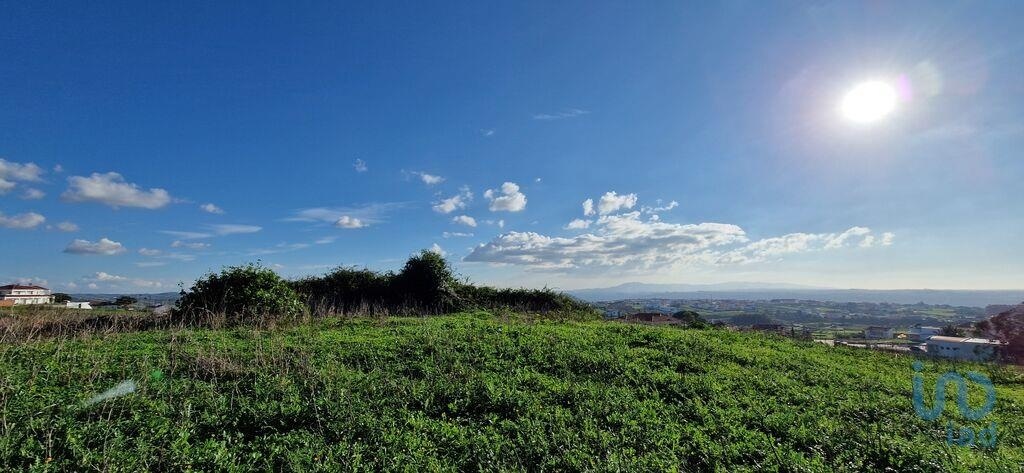 1 - plot of land for sale in mafra lisbon region portugal