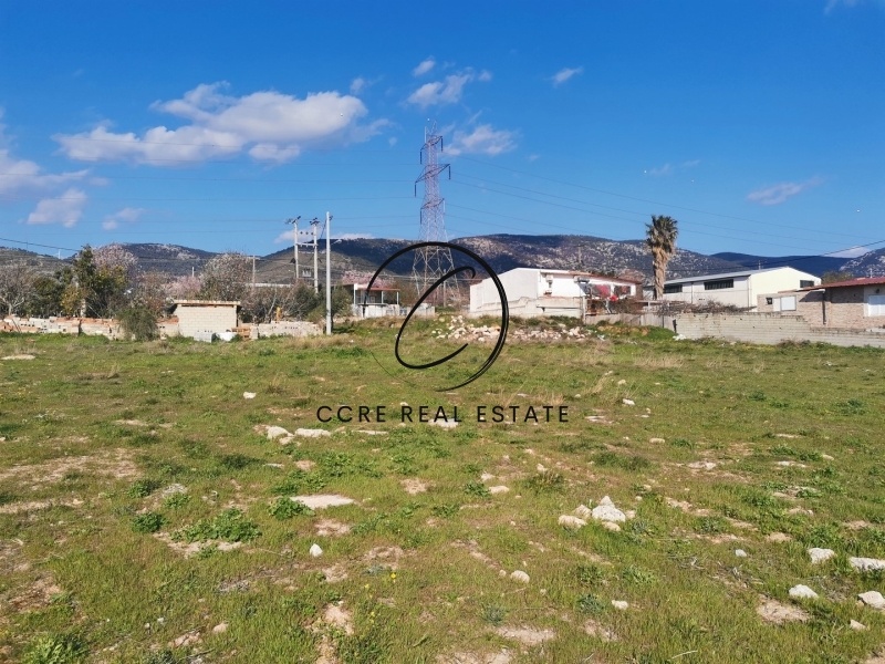1 - vente terrain aspropirgos attique grèce