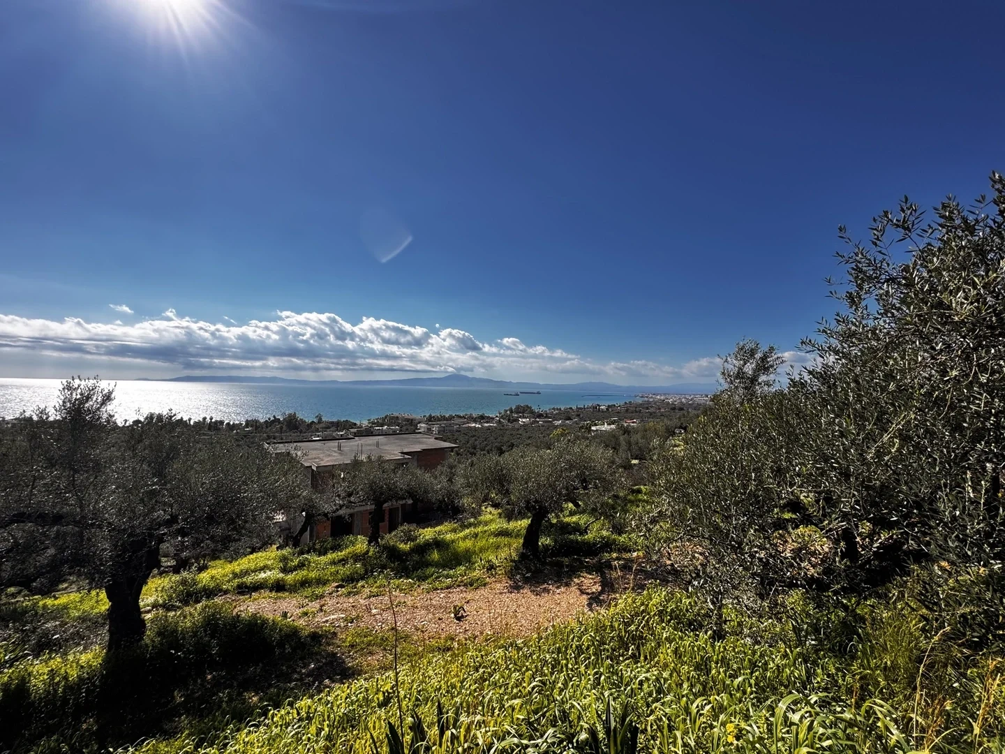 2 - vente terrain vue mer kato verga péloponnèse grèce