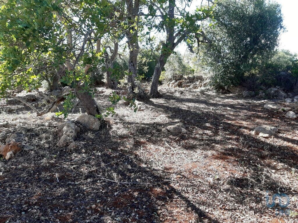 1 - vendita terreno alte algarve portogallo