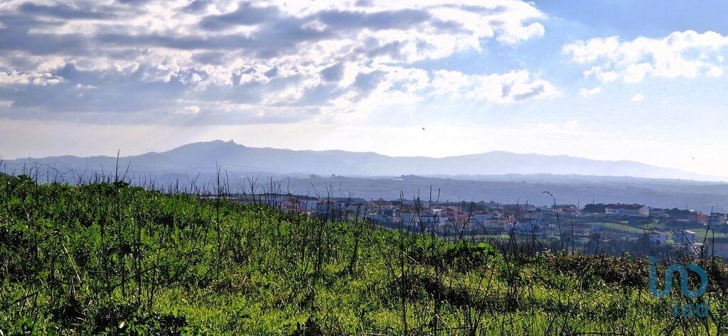 1 - vente terrain mafra région de lisbonne portugal