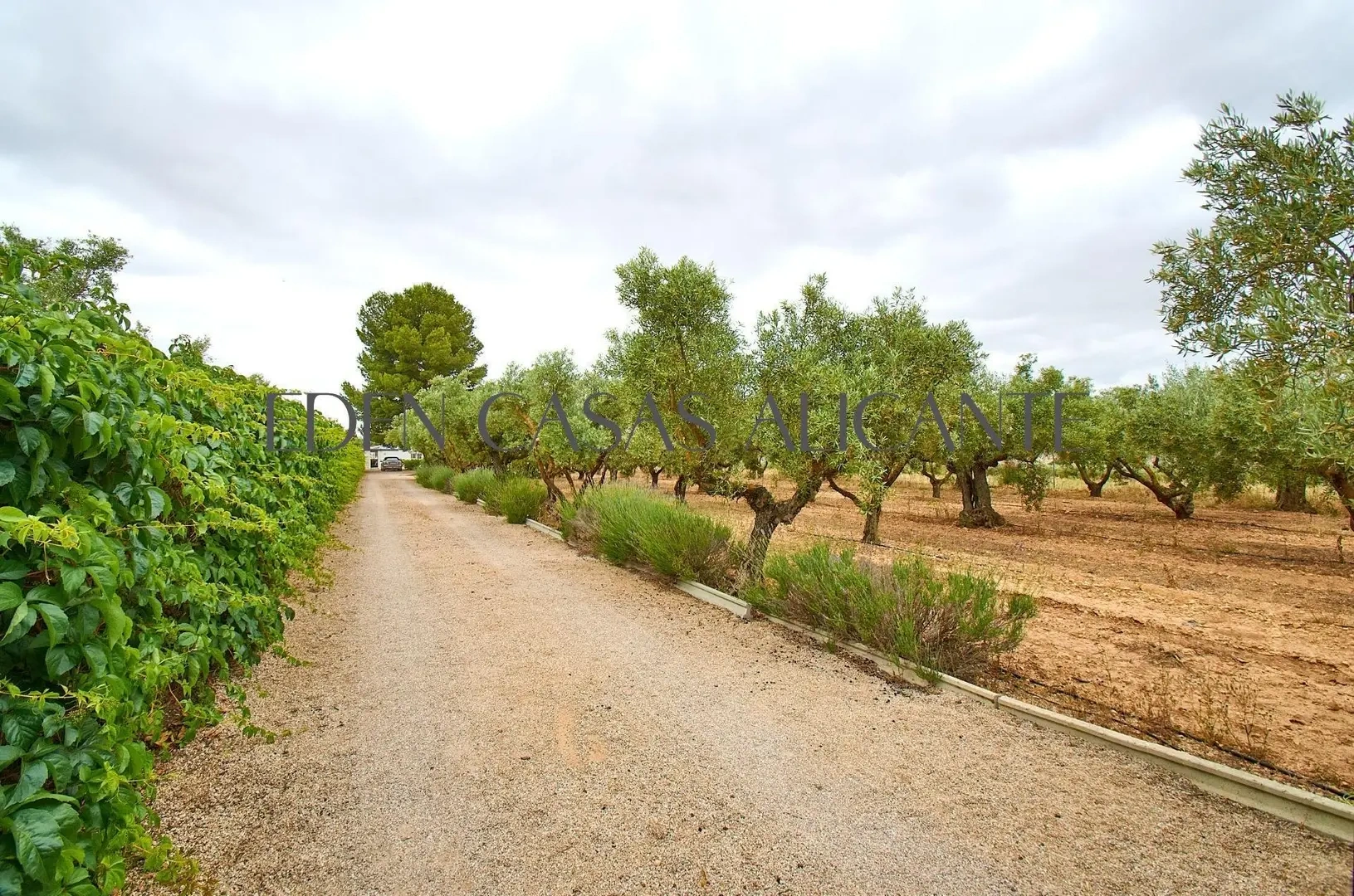 1 - venta casa biar comunidad valenciana españa