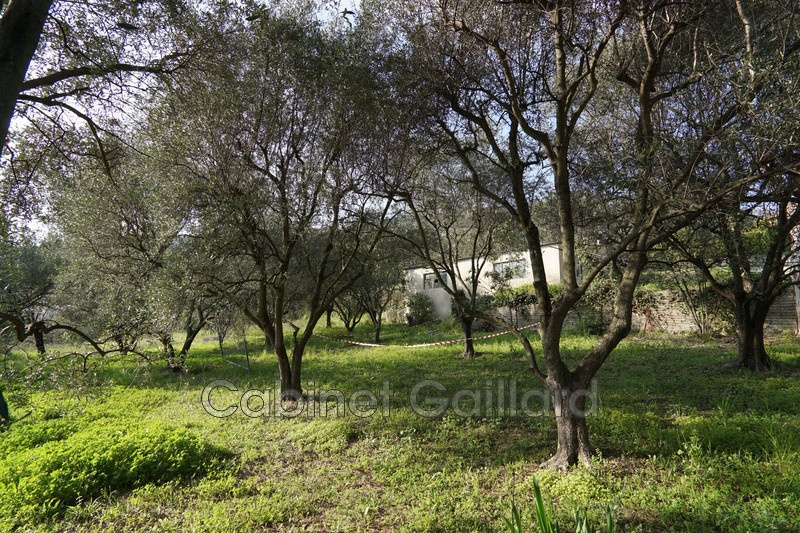 1 - plot of land for sale in grasse alpes-maritimes france
