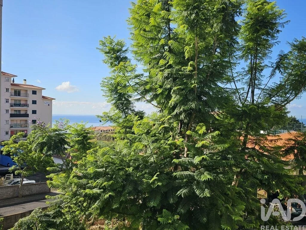 2 - sea view apartment for sale in caniço madeira portugal