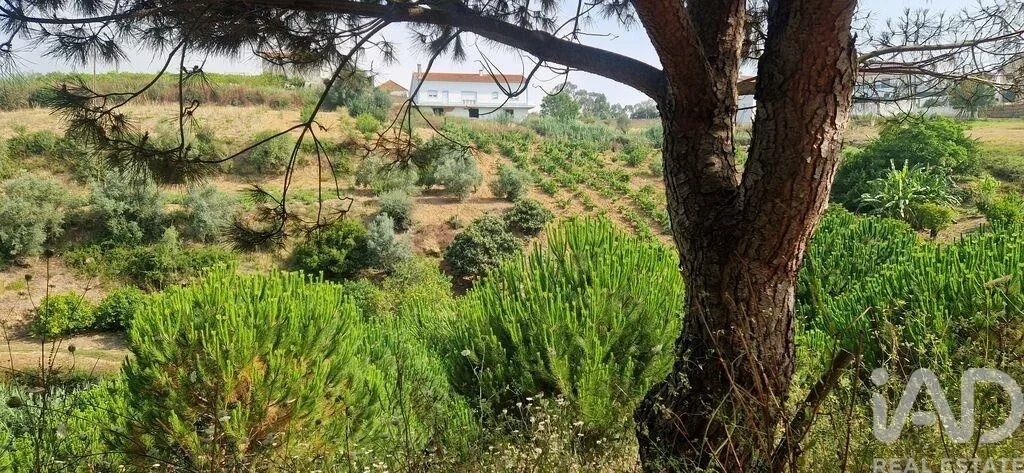 1 - plot of land for sale in mafra lisbon region portugal