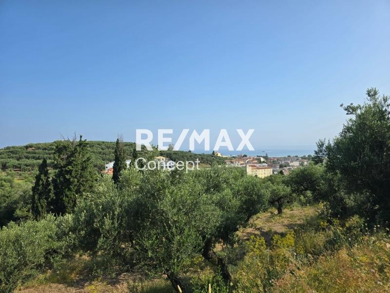 Terreno vista mare di 16 395 m²