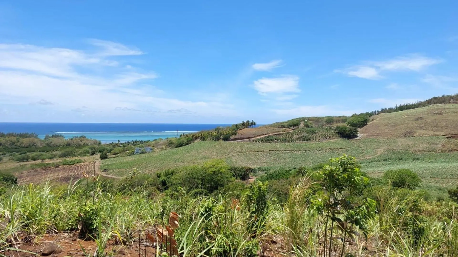 1 - sea view plot of land for sale in bel ombre savanne mauritius