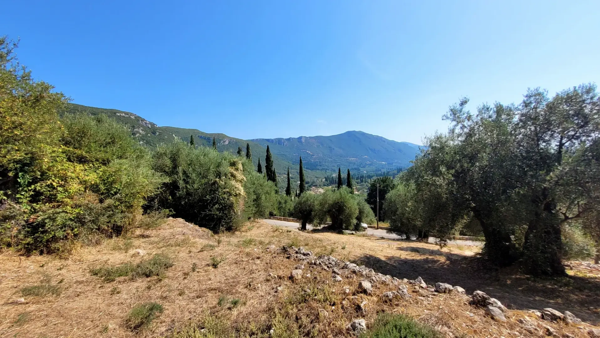 1 - vendita terreno vista mare corfu isole ioniche grecia