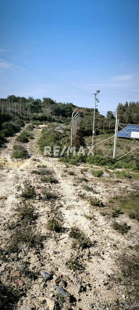 2 - vente terrain vue mer kos egée méridionale grèce