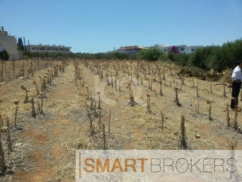 2 - vente terrain elia crète grèce