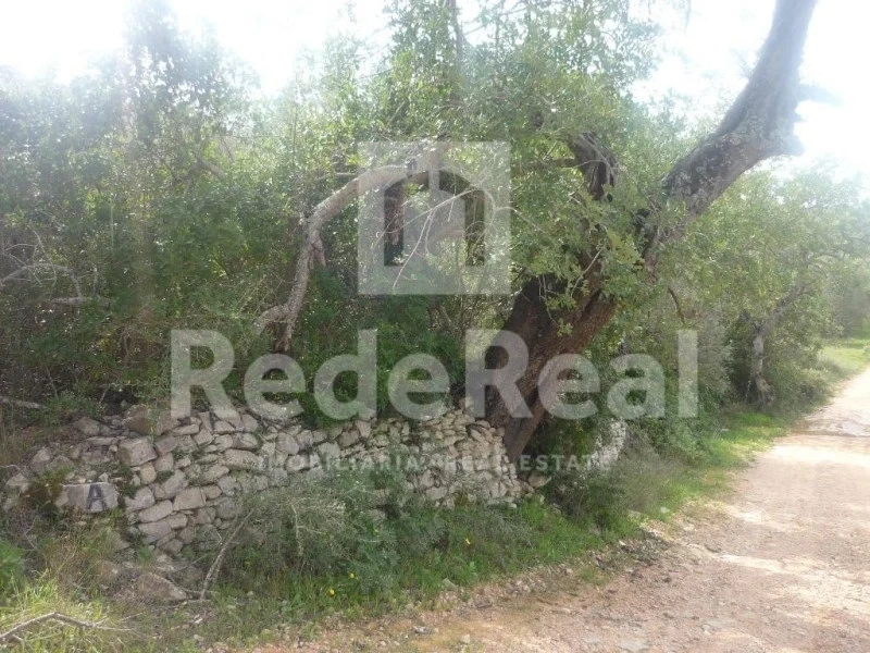 2 - продажа территория loulé алгарве португалия