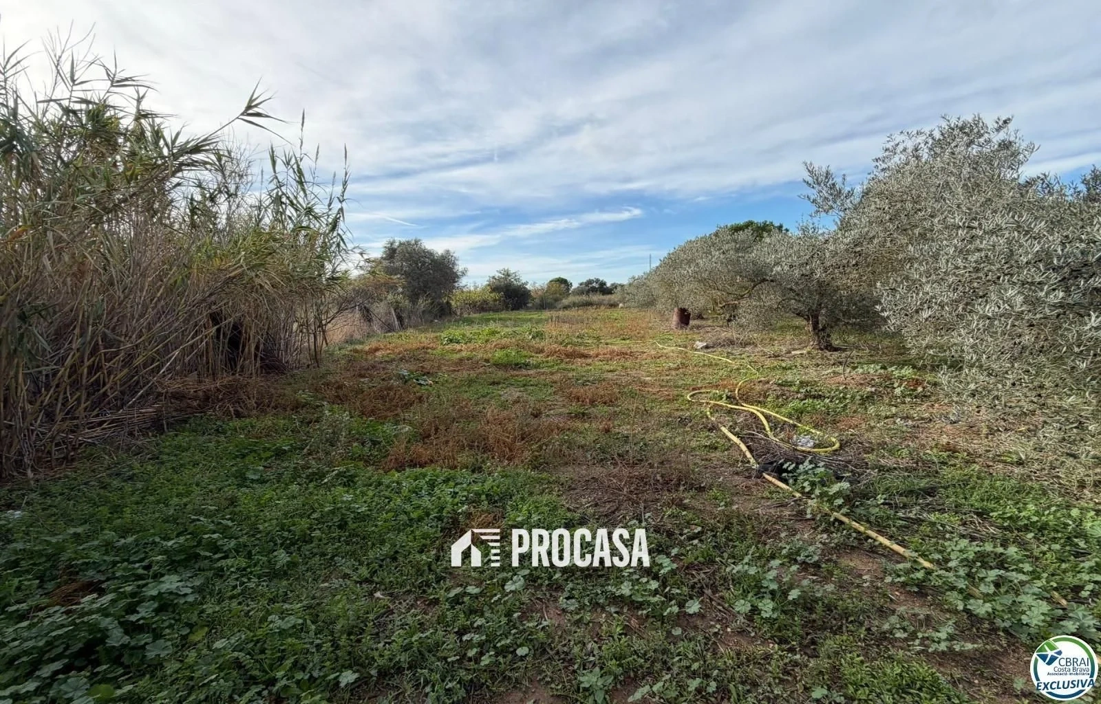 2 - venda propriedade roses catalunha espanha