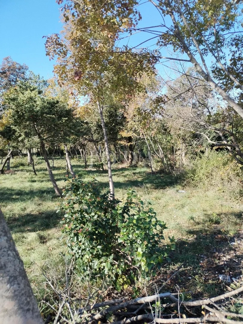 1 - venta terreno barban istria croacia