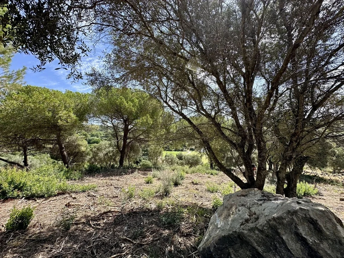 2 - venta terreno sotogrande andalucía españa