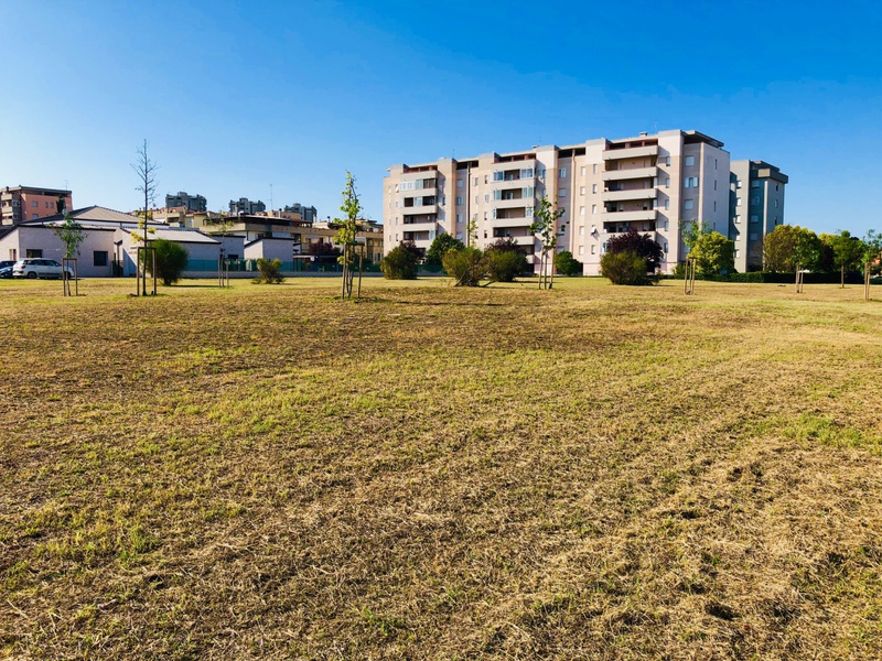 2 - vente terrain grosseto toscane italie