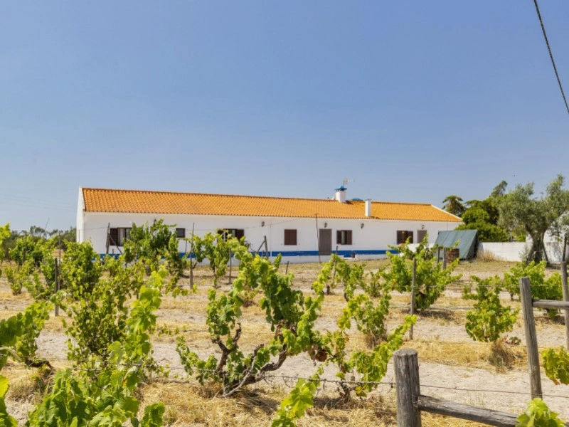 1 - house for sale in grândola alentejo portugal