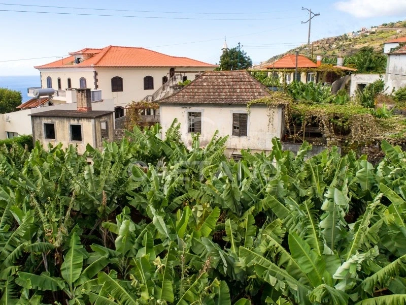 2 - verkoop huis uitzicht op zee arco da calheta madeira portugal