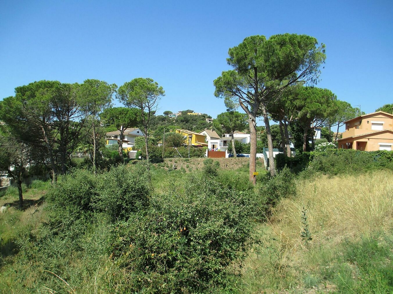 2 - vente terrain calonge catalogne espagne