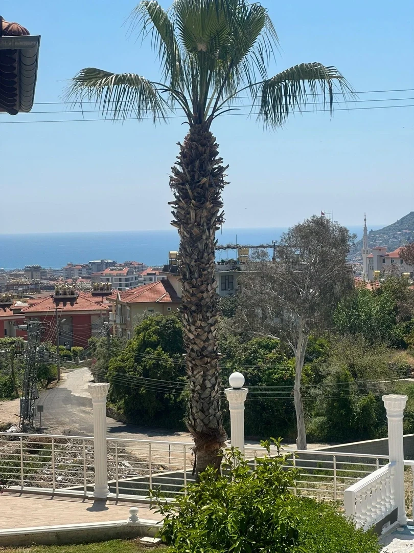 2 - venta casa vista al mar alanya antalya turquía
