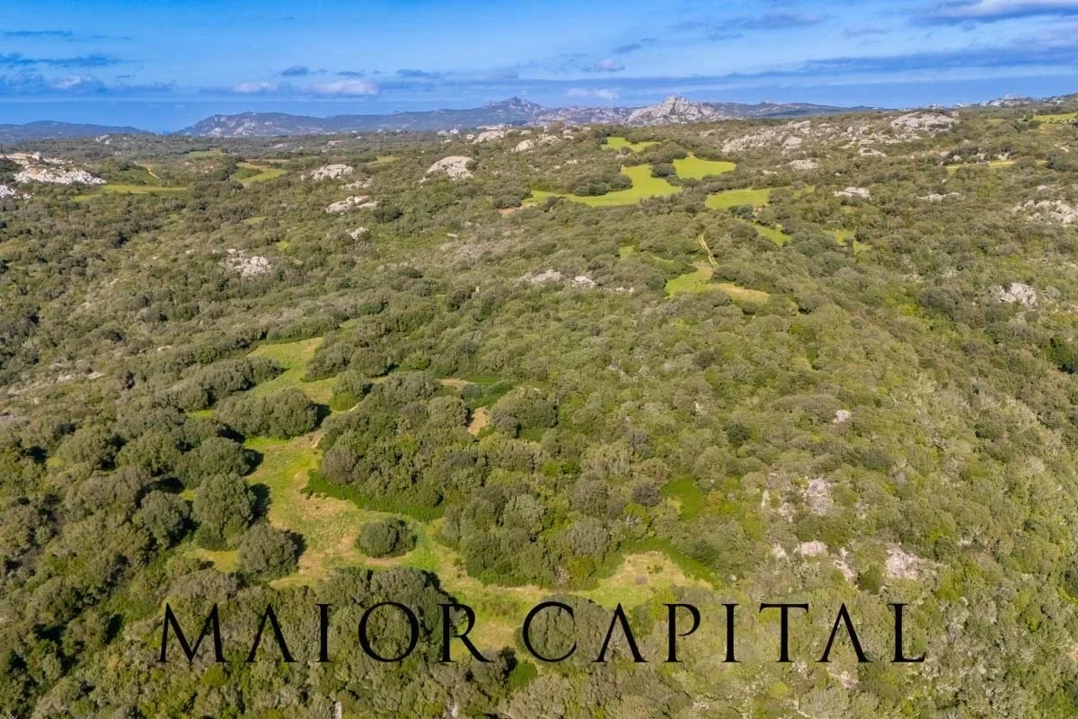 2 - plot of land for sale in arzachena sardinia italy