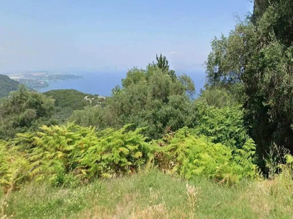 1 - vente terrain vue mer achílleion îles ioniennes grèce