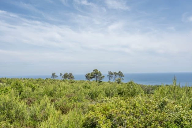 2 - vente terrain vue mer xabia/javea - costa blanca communauté valencienne espagne