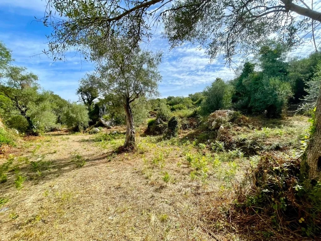 2 - vente terrain vue mer corfu îles ioniennes grèce