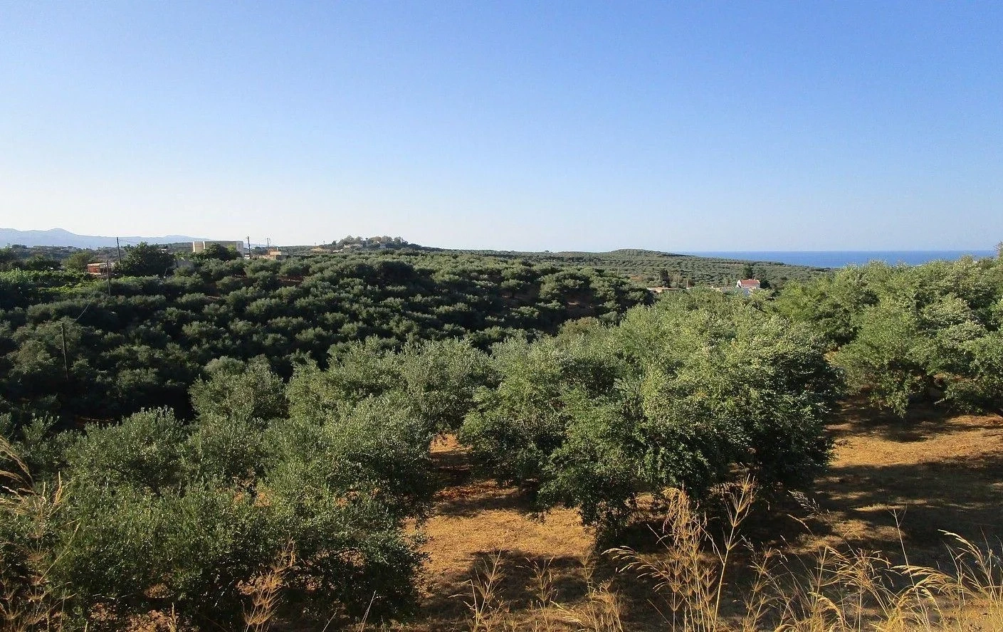 2 - продажа территория platanias крит греция