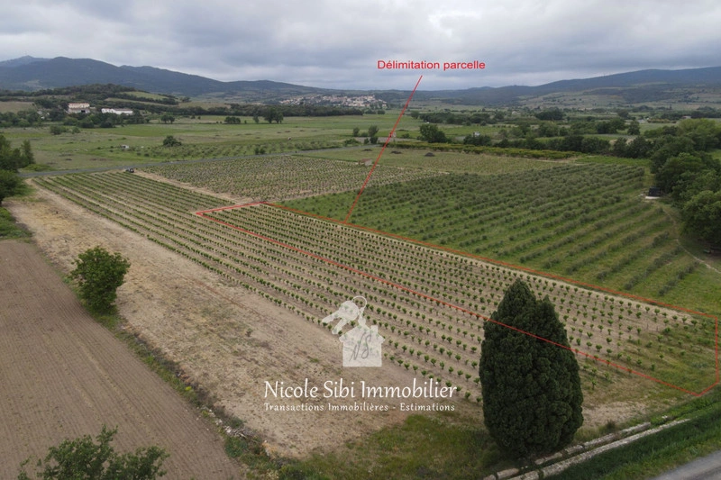 1 - verkoop terrein estagel pyrénées-orientales frankrijk