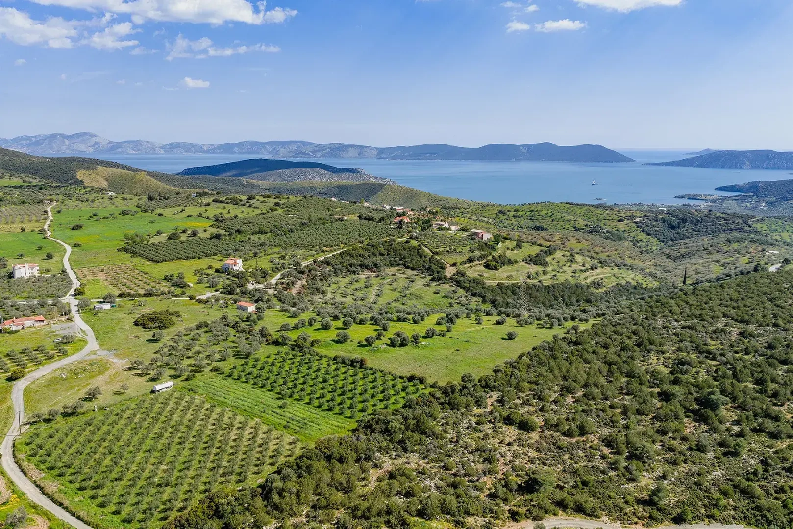 1 - vente terrain ermióni péloponnèse grèce