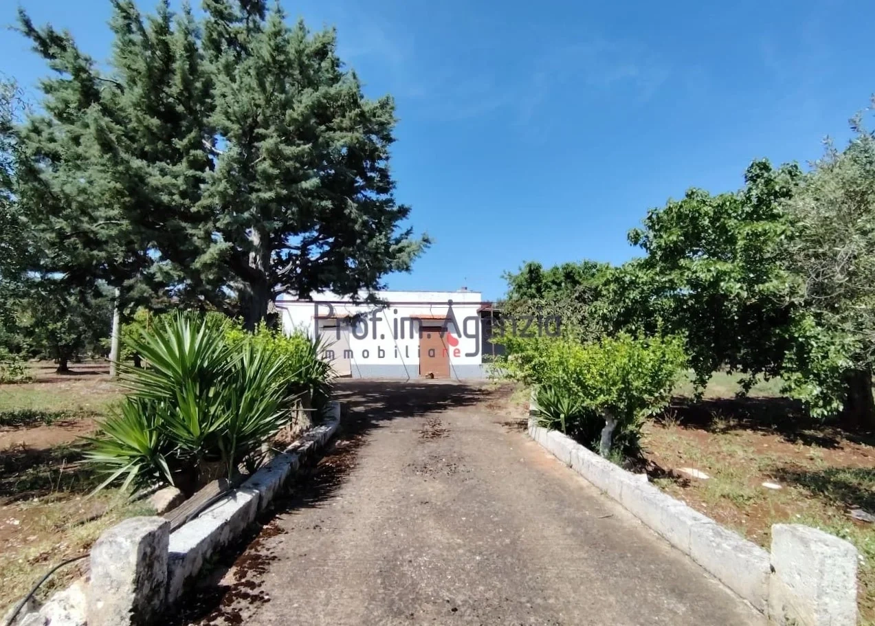 2 - house for sale in ostuni apulia italy