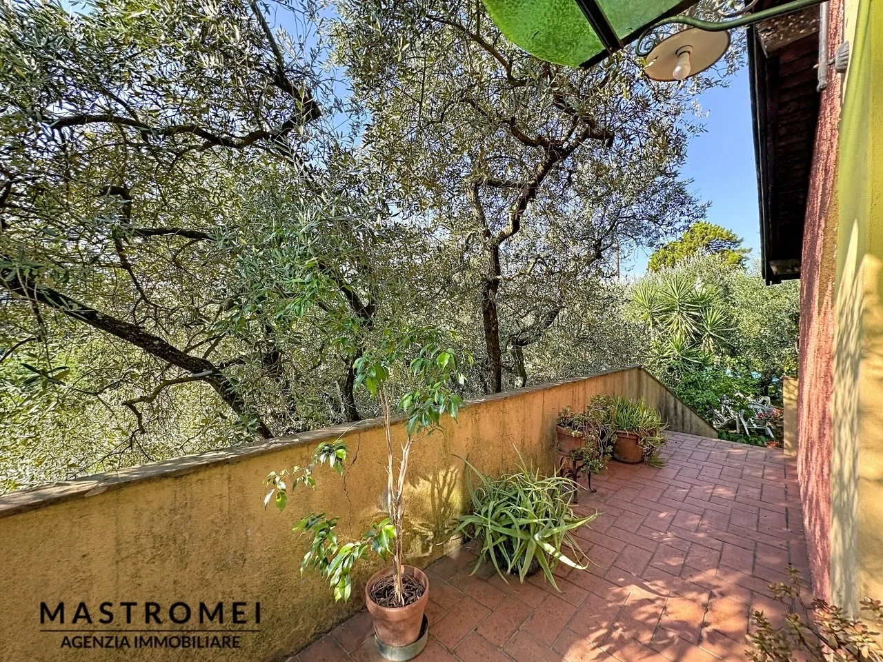 2 - house for sale in montecarlo tuscany italy