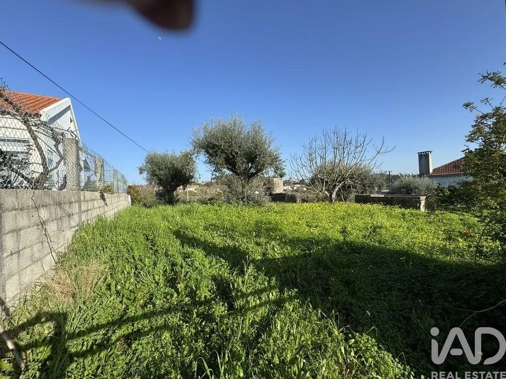 1 - vendita terreno tomar regione centro portogallo