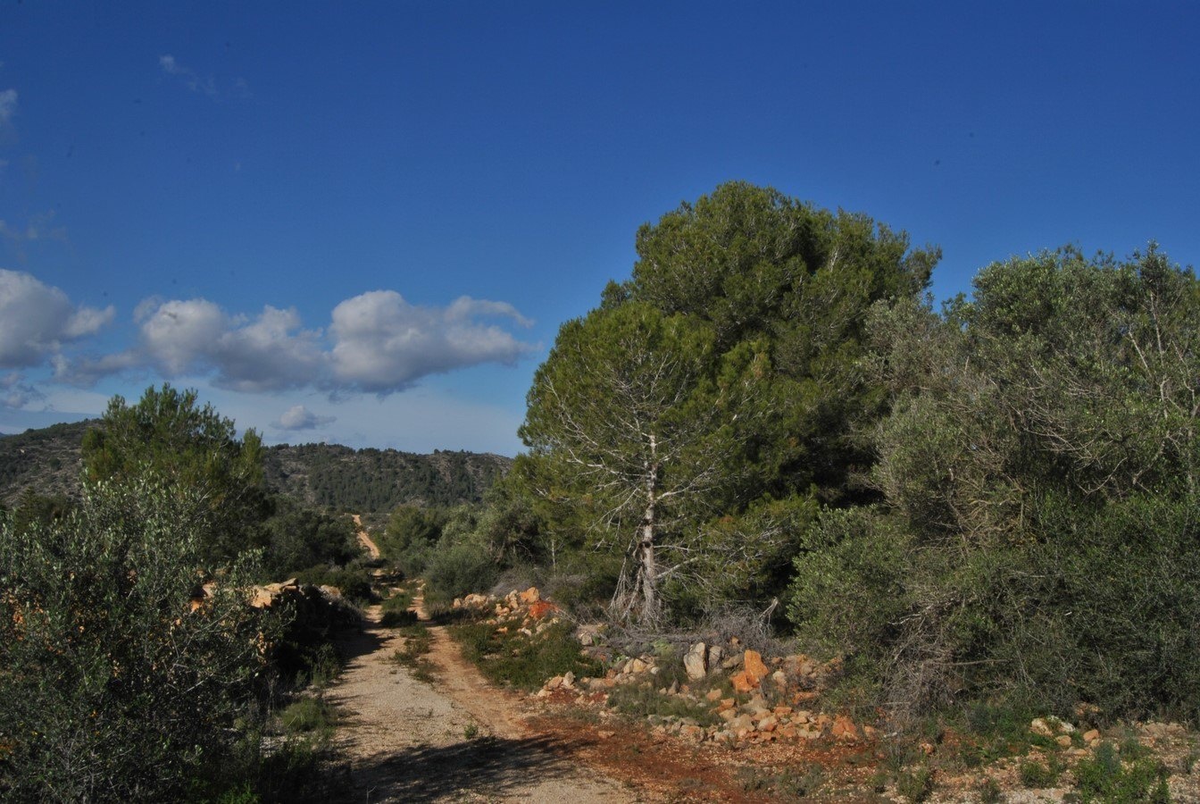 2 - vente terrain vue mer benissa - costa blanca communauté valencienne espagne
