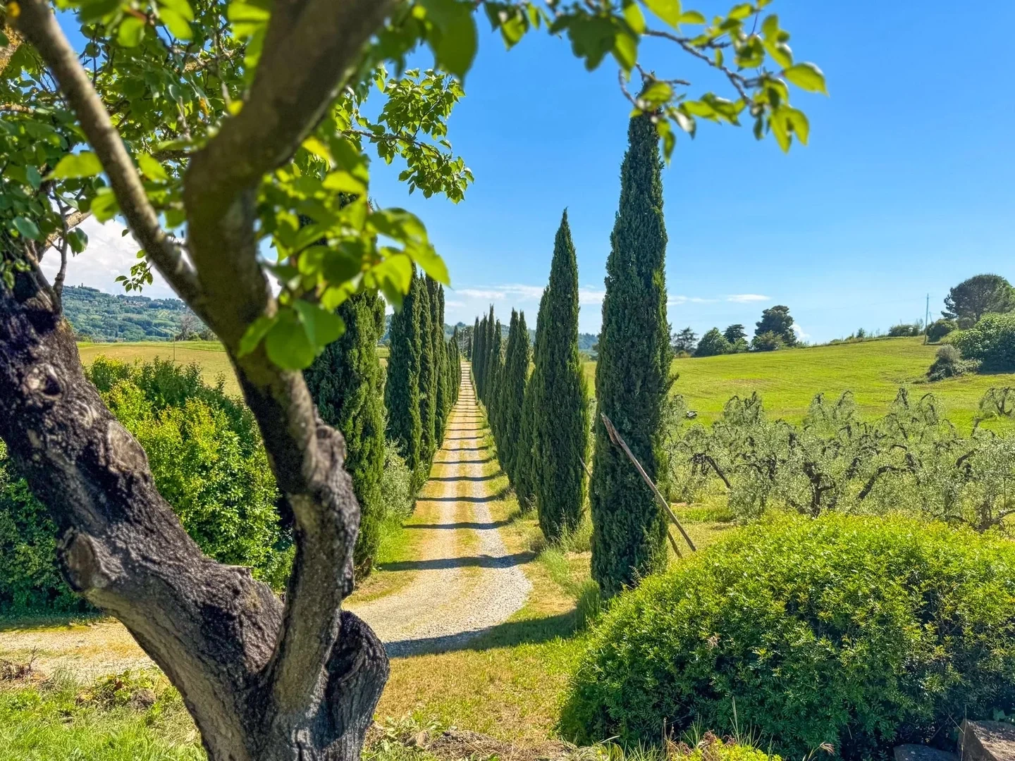 2 - villa for sale in riparbella tuscany italy
