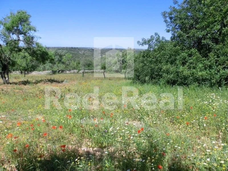 2 - venta terreno boliqueime algarve portugal