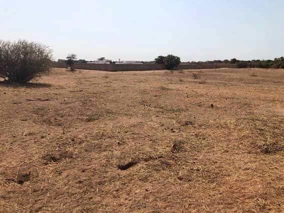 2 - venta terreno saly portudal thiès senegal